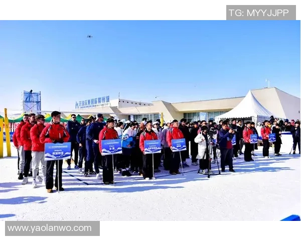 南京排球队成长纪实：从青涩到辉煌的排球之路与奋斗故事