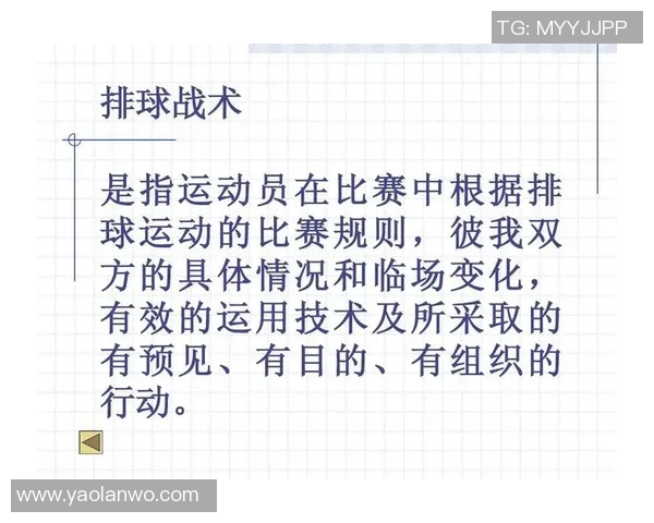 广州与杭州排球队的较量分析与战术探讨